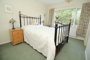 Photo 12- click for photo gallery
